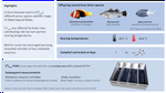 Critical thermal maxima of early life stages of three tropical fishes: Effects of rearing temperature and experimental heating rate